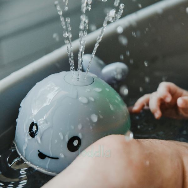 Baleia Splash™
