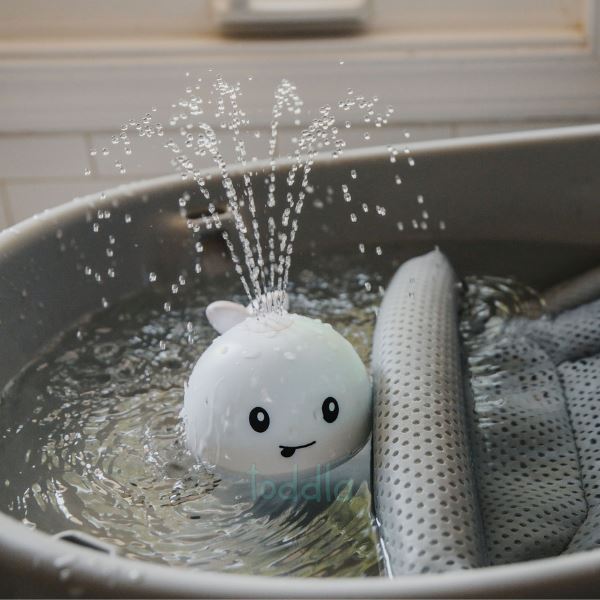 Baleia Splash™